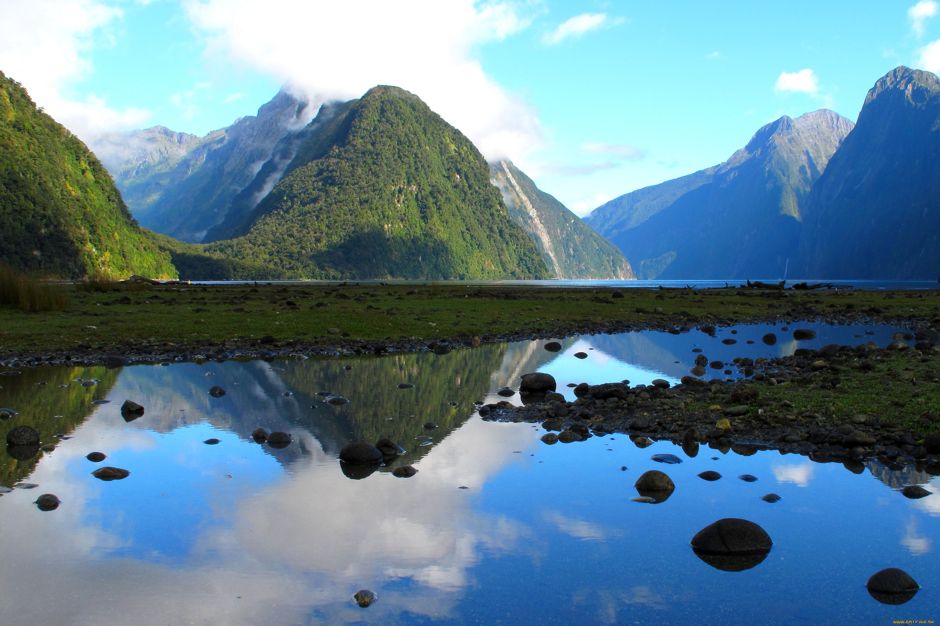 , , , fiordland